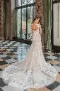 50902back.jpg.webp