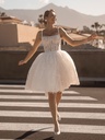 Dreamy-82321_DSC5300.webp