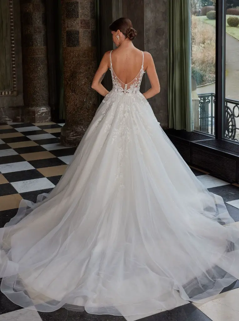 50906back.jpg.webp