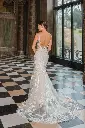 50909back.jpg.webp