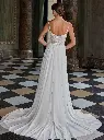 50911back.jpg.webp