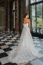 50923back.jpg.webp