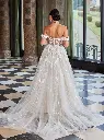 50928back.jpg.webp
