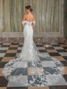 50929back.jpg.webp