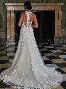 50930back.jpg.webp