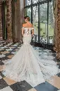 50931back.jpg.webp