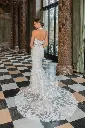 50932back.jpg.webp