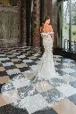 50933back.jpg.webp