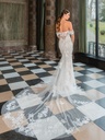 50933back.jpg.webp