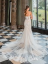 50934back.jpg.webp