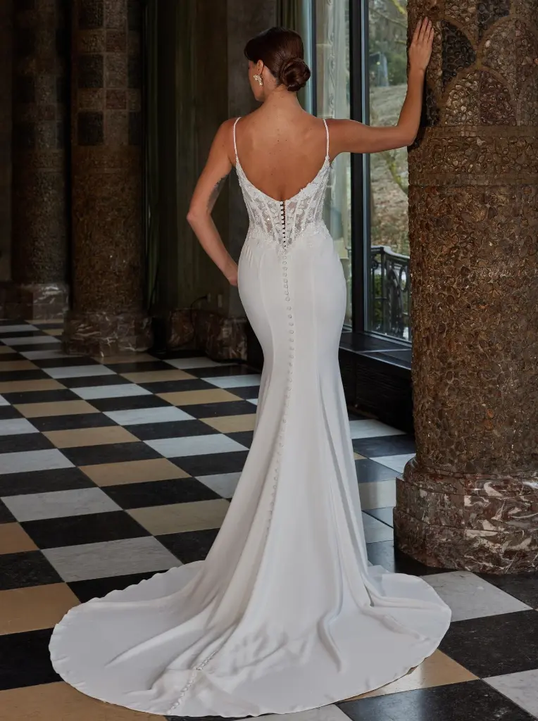 50937back.jpg.webp