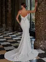 50937back.jpg.webp