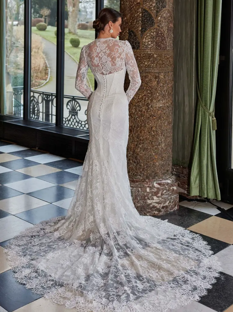 50938back.jpg.webp