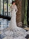 50938back.jpg.webp