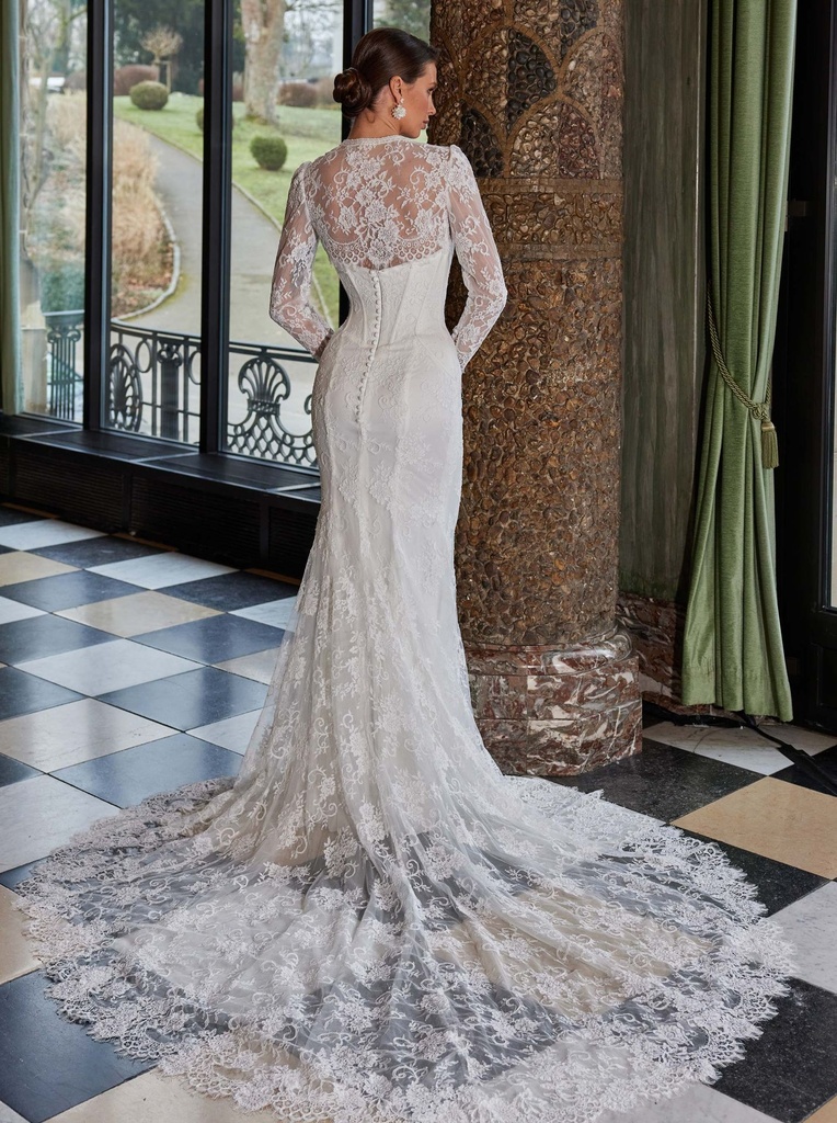 50938back.jpg.webp
