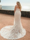 90706back.webp